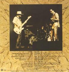 LP plošča ZZ Top - Rio Grande (180 g) (LP) - 2