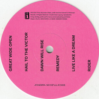 Грамофонна плоча Thirty Seconds To Mars - America (White Coloured) (LP) - 5