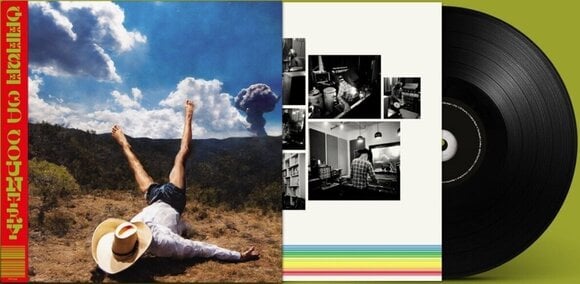 Грамофонна плоча Geese - 3d Country (LP) - 2