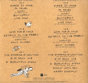 Schallplatte Jason Mraz - We Sing. We Dance. We Steal Things. (3 LP) - 3