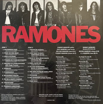 LP ploča Ramones - Greatest Hits (Limited Edition) (Red Translucent Coloured) (LP) - 7