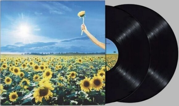 LP deska Stone Temple Pilots - Thank You (2 LP) - 2