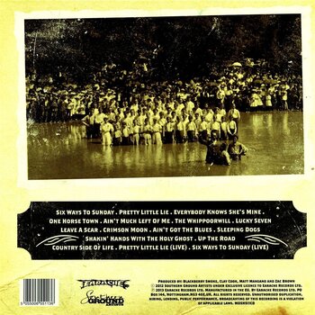 Schallplatte Blackberry Smoke - The Whippoorwill (2 LP) - 3