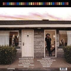 Vinyl Record Goodbye June - Community Inn (LP) - 2
