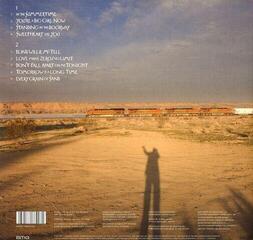 Disque vinyle Chrissie Hynde - Standing In The Doorway: Chrissie Hynde Sings Bob (LP) - 1