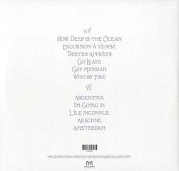 Disco de vinil Rufus Wainwright - Rufus Wainwright And Amsterdam Sinfonietta (Live) (LP) - 2