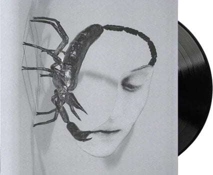 Vinyl Record Tortoise - Touch (LP) - 2