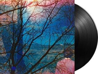 LP ploča Idlewild - Idlewild (180 g) (LP) - 1