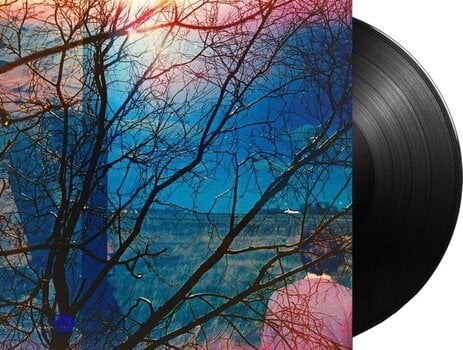 LP plošča Idlewild - Idlewild (180 g) (LP) - 2