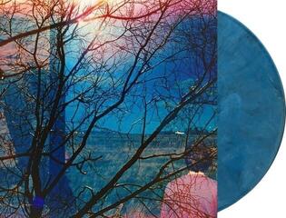 LP Idlewild - Idlewild (Blue Smoke Coloured) (180 g) (LP) - 1