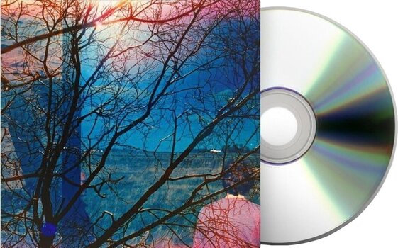 Glasbene CD Idlewild - Idlewild (Digisleeve) (CD) - 2