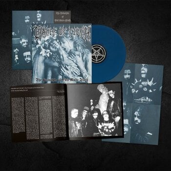 Vinyl Record Cradle Of Filth - The Principle Of Evil Made Flesh (Aqua Blue Coloured) (LP) - 2