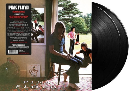LP ploča Pink Floyd - Ummagummma (2011 Remastered) (180 g) (2 LP) - 2