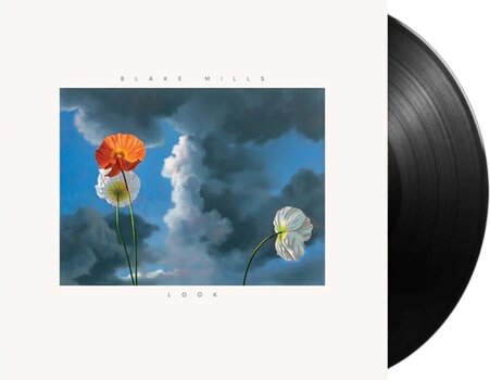 LP ploča Blake Mills - Look (LP) - 2