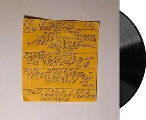 Vinyl Record Mac DeMarco - Here Comes The Cowboy Demos (LP) - 1