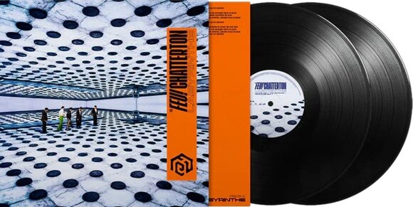 LP ploča Feu! Chatterton - Labyrinthe (2 LP) - 2