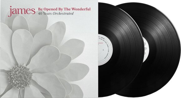 LP ploča James - Be Opened By The Wonderful (180 g) (2 LP) - 2