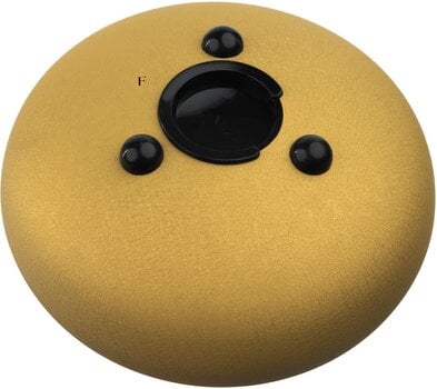 Tongue Drum Shamann 10" 11 Notes F Major Golden Tongue Drum - 2