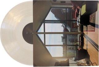 LP ploča Wallis Bird - Home (Solid Clear Coloured) (LP) - 1