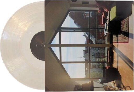 LP ploča Wallis Bird - Home (Solid Clear Coloured) (LP) - 2