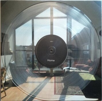 LP ploča Wallis Bird - Home (Solid Clear Coloured) (LP) - 4