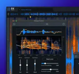Студио софтуер Plug-In ефект iZotope RX Post Production Suite 8.6 (Дигитален продукт) - 3