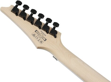 Electric guitar Ibanez RG450QMB-TGB Transparent Gray Burst Electric guitar - 9