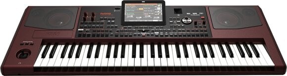 Professional Keyboard Korg Pa1000 Professional Keyboard (Like new) - 7