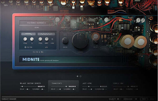 VST Instrument Karanyi Sounds Midnite (Digitaalne toode) - 3