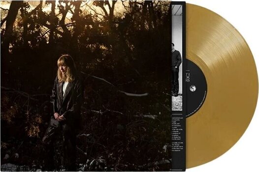 LP ploča Weather Station - How Is It That I Should Look At The Stars (Limited Edition) (Gold Coloured) (LP) - 2