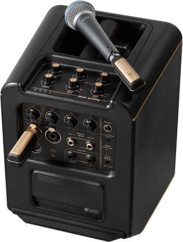 Trådløst system Positive Grid Spark Link XLR Trådløst system ISM 2,4 GHz - 12