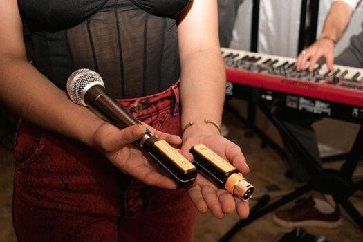 Trådløst system Positive Grid Spark Link XLR Trådløst system ISM 2,4 GHz - 14