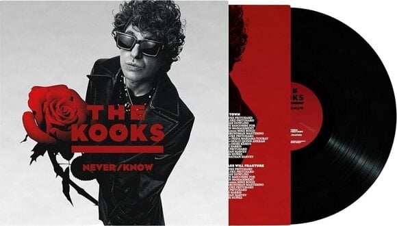Schallplatte The Kooks - Never/Know (LP) - 2