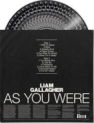Płyta winylowa Liam Gallagher - As You Were (Limited Edition) (Picture Disc) (180 g) (LP) - 2