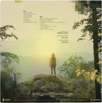 LP plošča Hrishikesh Hirway - Companion (Pink Marble Coloured) (140 g) (LP) - 4