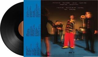 LP ploča Jacob Collier - The Light For Days (LP) - 2