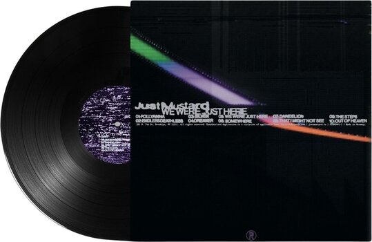Disc de vinil Just Mustard - We Were Just Here (LP) - 3