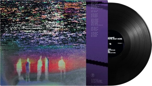 Disc de vinil Just Mustard - We Were Just Here (LP) - 2