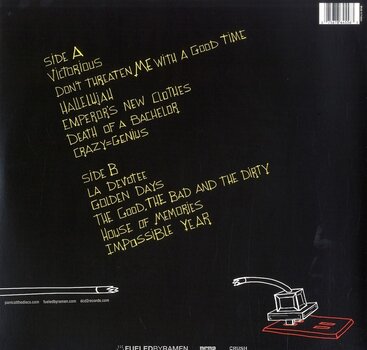 LP ploča Panic! At The Disco - Death Of A Bachelor (Silver Coloured) (LP) - 3