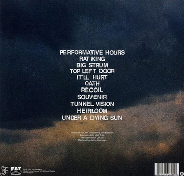 Vinyylilevy Flatliners - New Ruin (Gatefold Sleeve) (LP) - 2