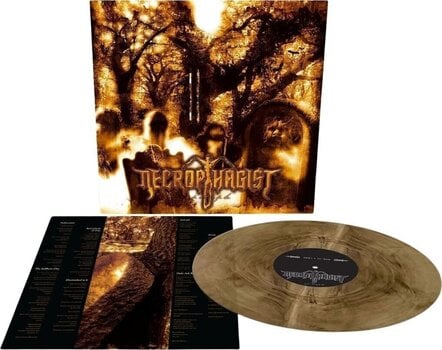 LP Necrophagist - Epitaph (Translucent Gold and Black Galaxy Merge Coloured) (LP) - 2