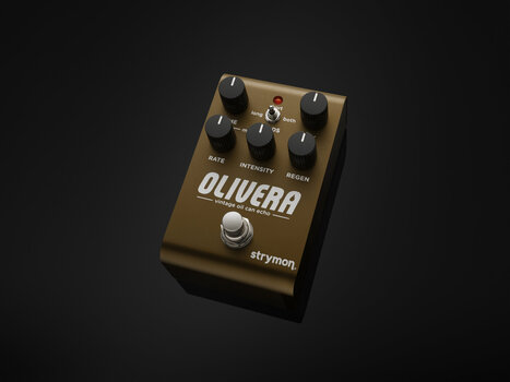 Guitar effekt Strymon Olivera Guitar effekt - 3