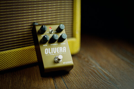 Guitar effekt Strymon Olivera Guitar effekt - 5