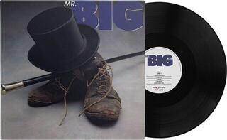 Disc de vinil Mr Big - Mr Big (LP) - 1