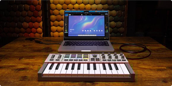 MIDI-Keyboard Akai MPK Mini MK4 Gray MIDI-Keyboard - 6