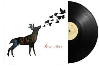 LP ploča Low Roar - Low Roar (2 LP) - 1