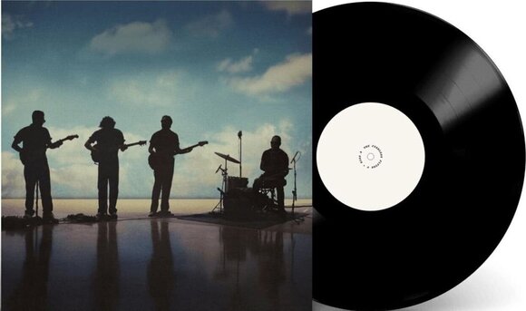 LP ploča Fearless Flyers - The Fearless Flyers V (LP) - 2