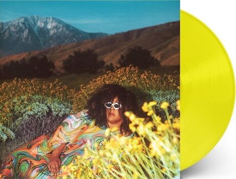 LP ploča Brittany Howard - What Now (Translucent Lemonade Coloured) (LP) - 2