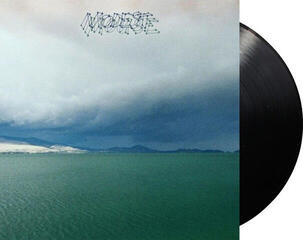 LP ploča Modest Mouse - The Fruit That Ate Itself (LP) - 1