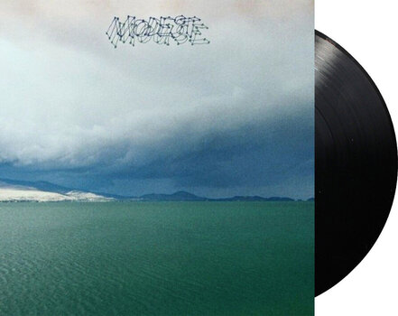 LP ploča Modest Mouse - The Fruit That Ate Itself (LP) - 2